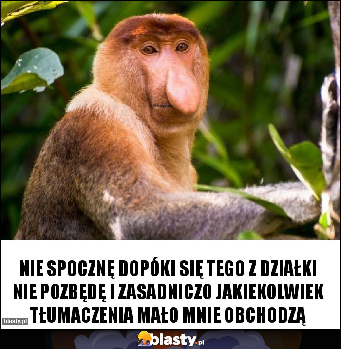 nie spocznę dopóki się tego z działki nie pozbędę i zasadniczo jakiekolwiek tłumaczenia mało mnie obchodzą