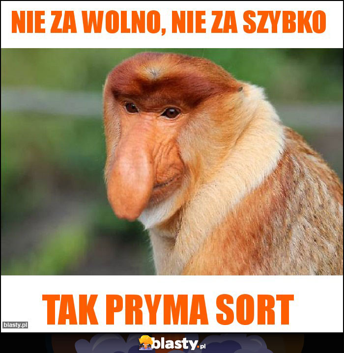 Nie za wolno, nie za szybko