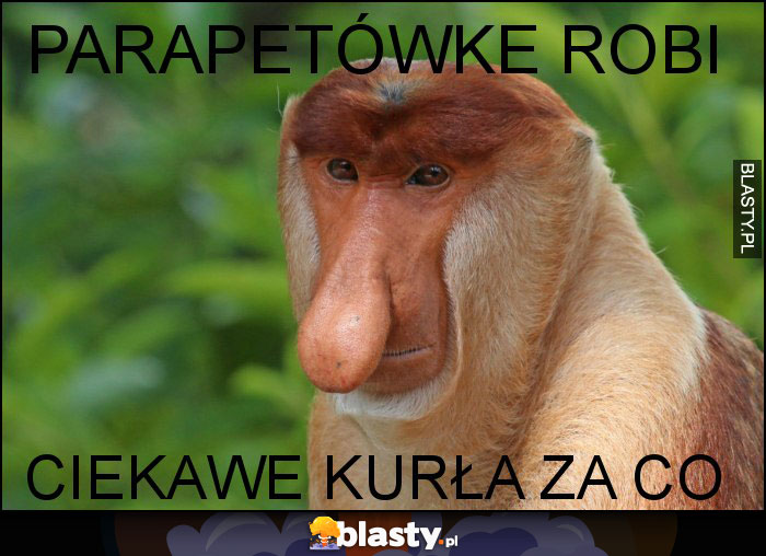 Parapetówke robi