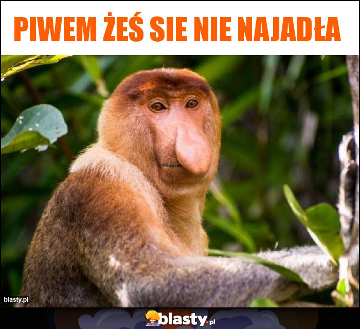 PIWEM ŻEŚ SIE NIE NAJADŁA
