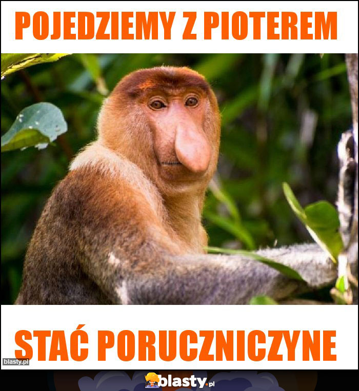 Pojedziemy z pioterem