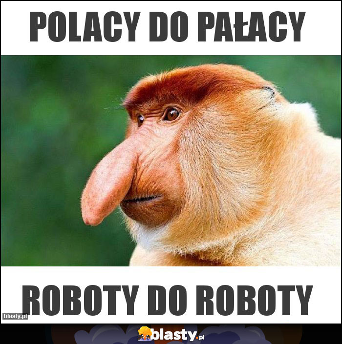 Polacy do pałacy