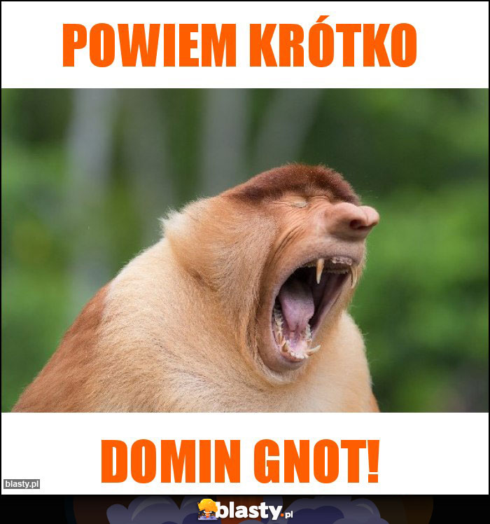 Powiem krótko