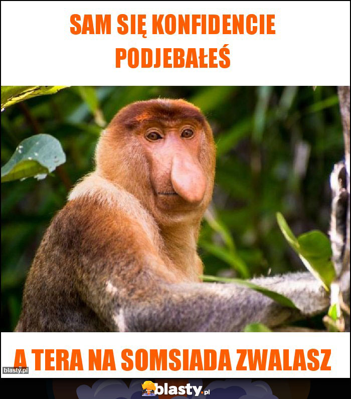 Sam się konfidencie podjebałeś