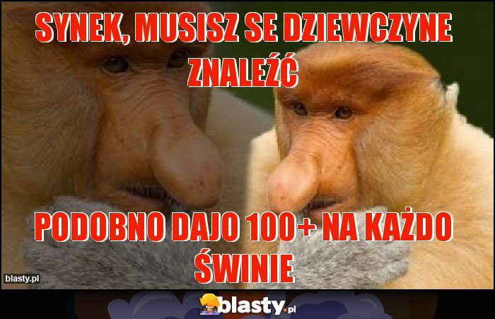 Synek, musisz se dziewczyne znaleźć