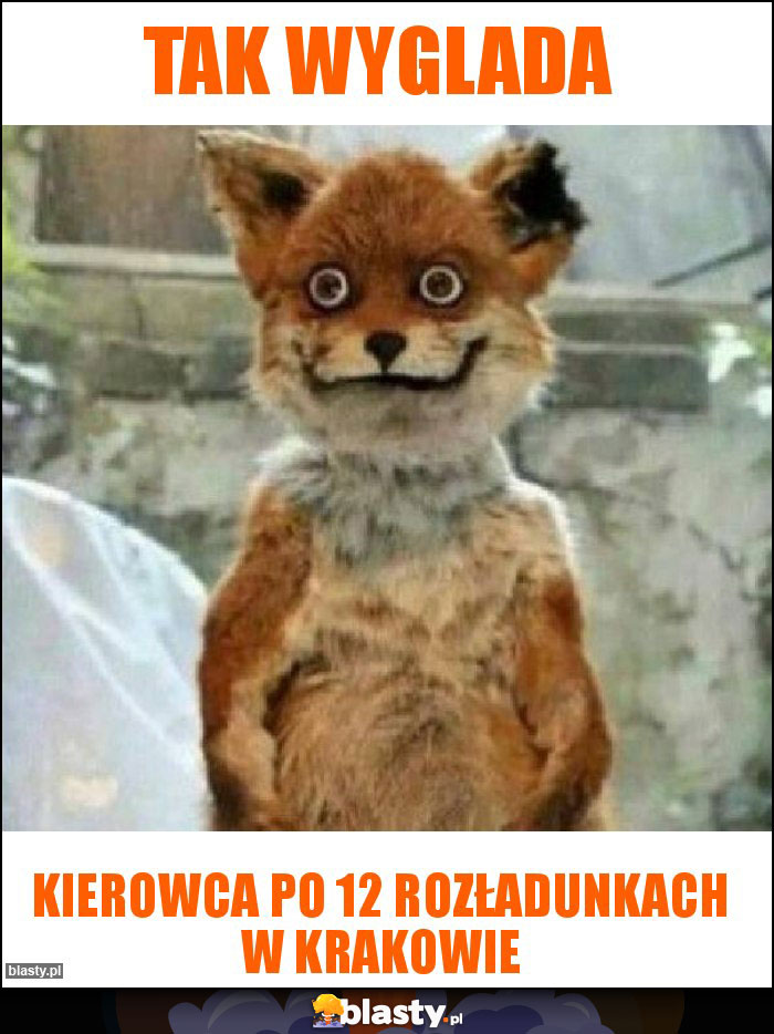 Tak wyglada