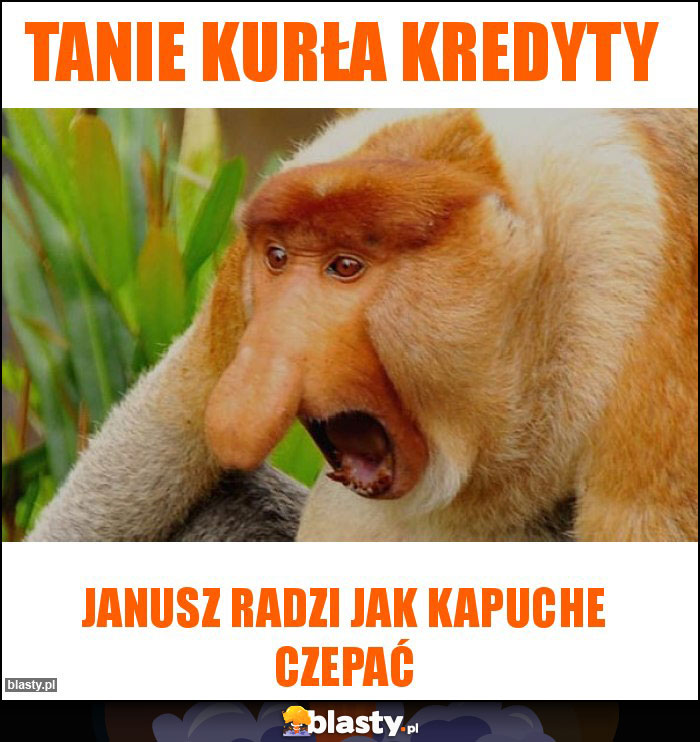 Tanie kurła kredyty
