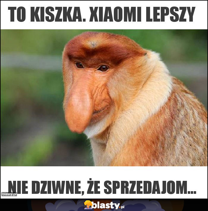 To kiszka. Xiaomi lepszy