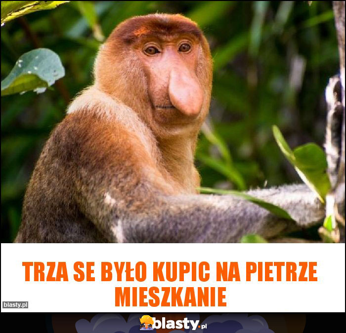 Trza se było kupic na pietrze mieszkanie
