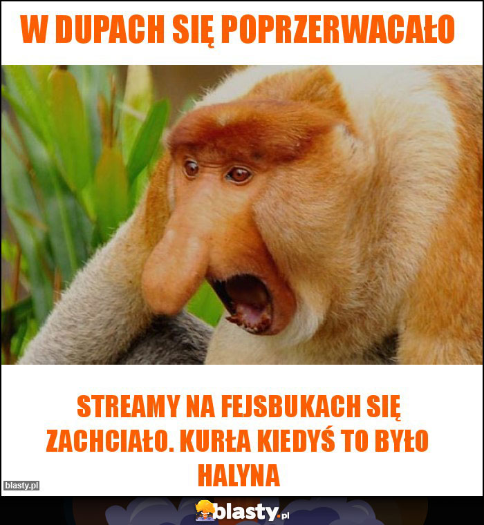 W dupach się poprzerwacało