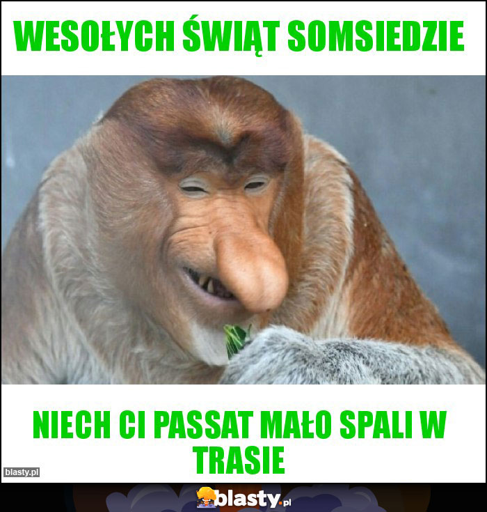 Wesołych świąt somsiedzie