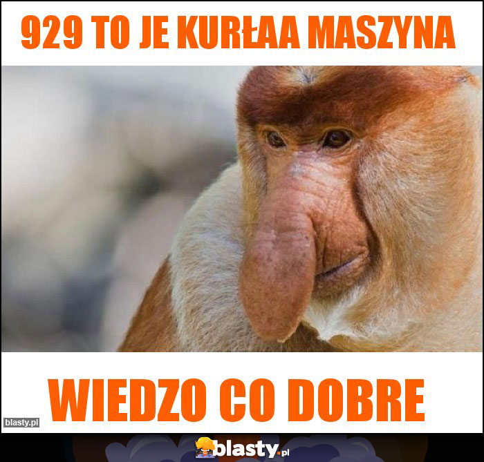 929 to je kurłaa maszyna