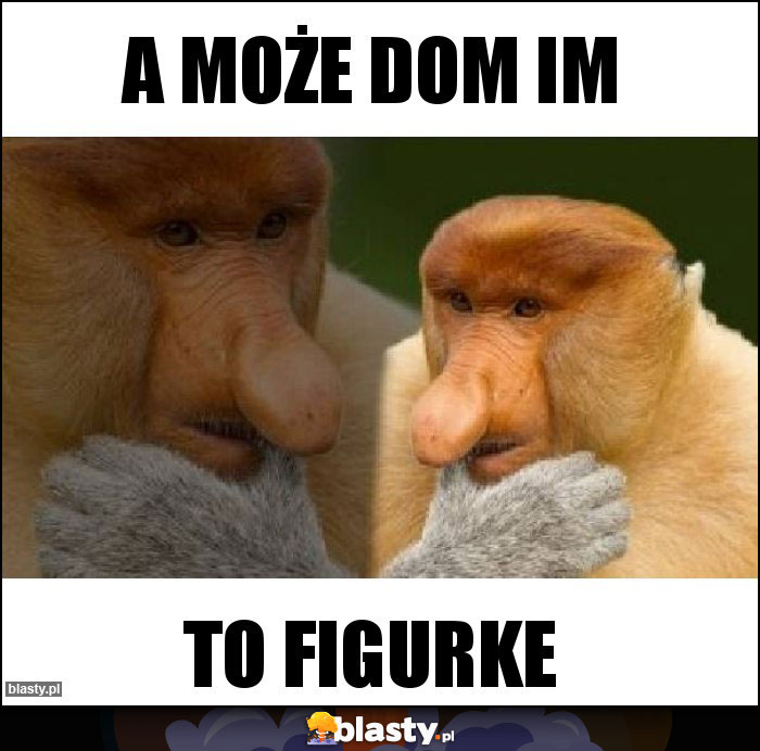A może dom im