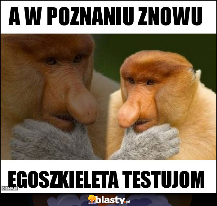 A W POZNANIU ZNOWU