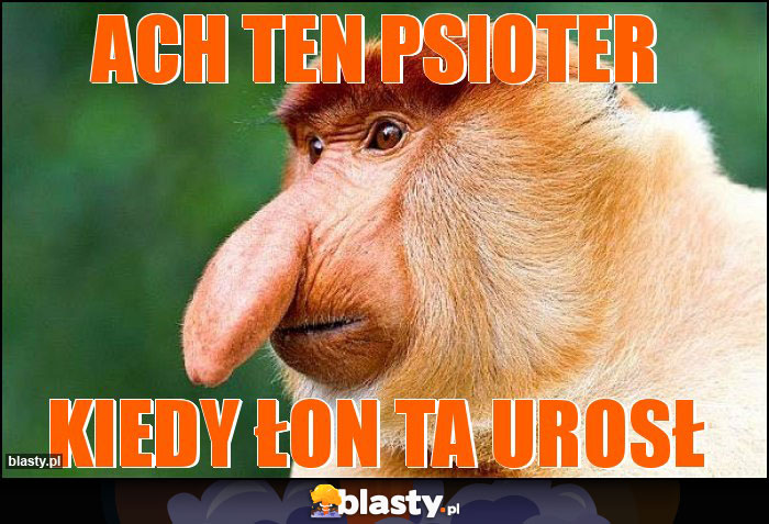 Ach ten Psioter