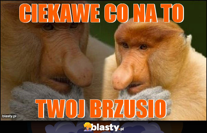 Ciekawe co na to