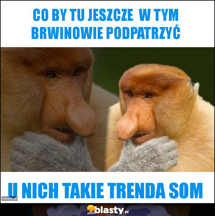 CO BY TU JESZCZE  W TYM BRWINOWIE PODPATRZYĆ