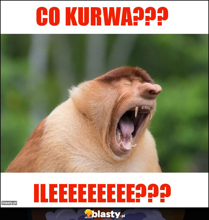 CO KURWA???