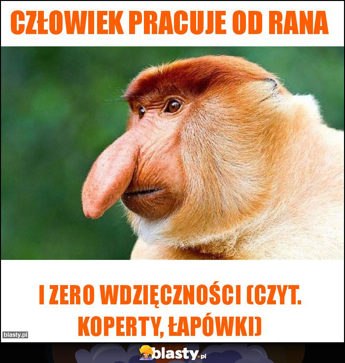 Człowiek pracuje od rana