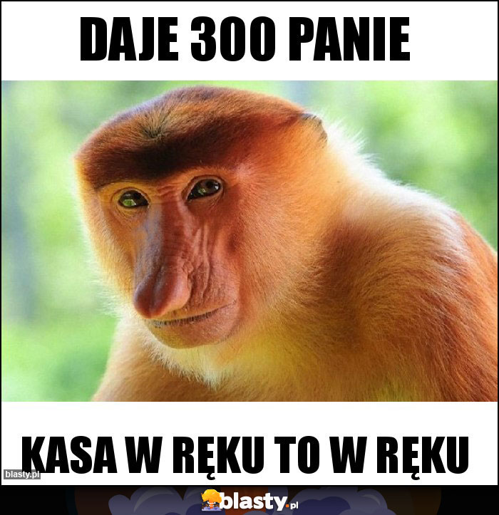 Daje 300 Panie