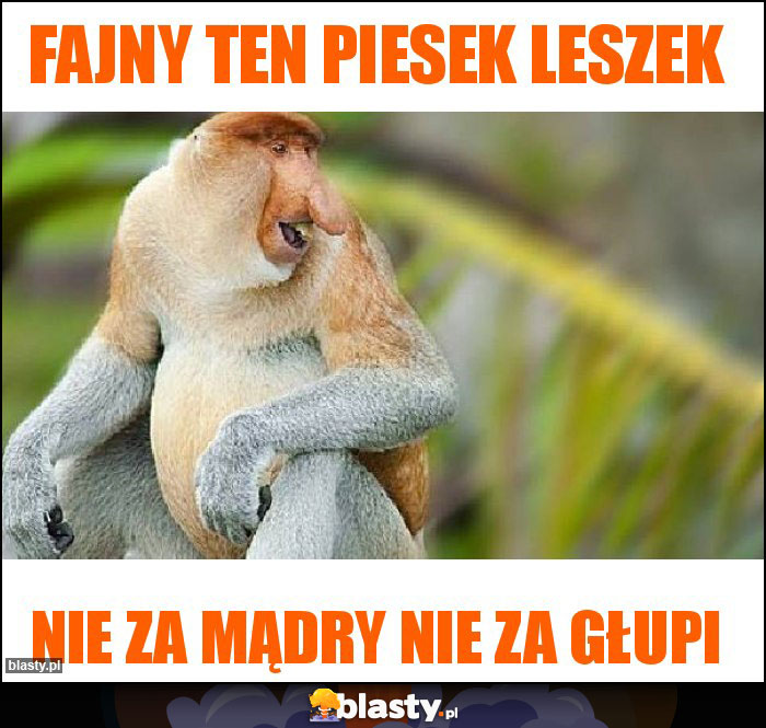 Fajny ten piesek Leszek