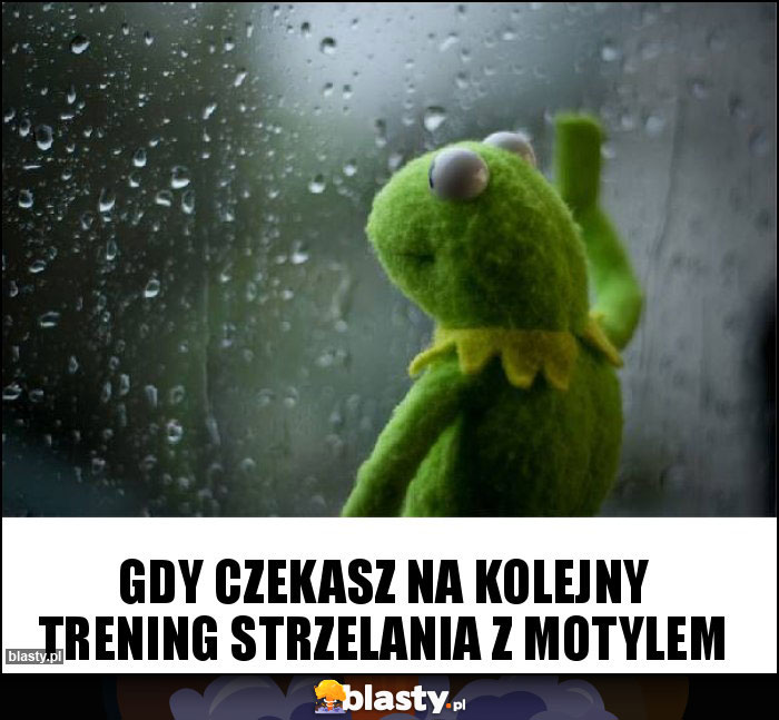Gdy czekasz na kolejny trening strzelania z Motylem