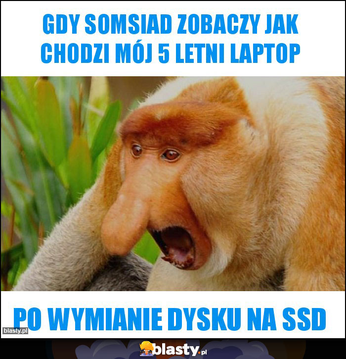 Gdy Somsiad zobaczy jak chodzi mój 5 letni laptop