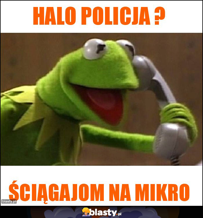 HALO POLICJA ?