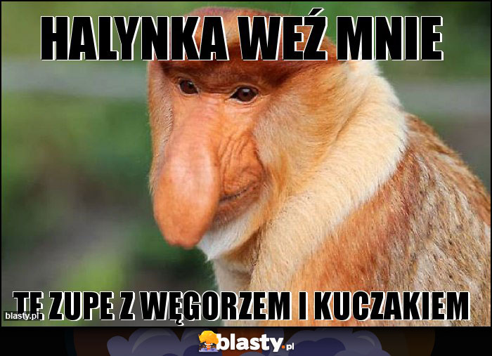 Halynka weź mnie