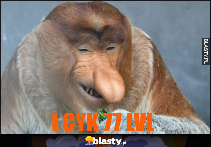 I cyk 77 LVL