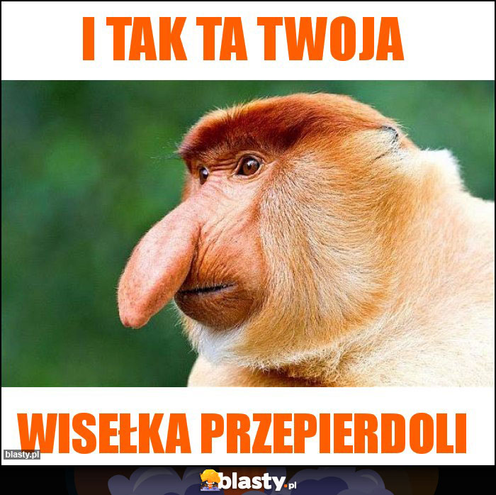 I tak ta Twoja