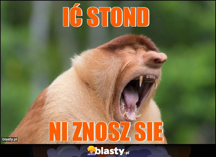 IĆ STOND
