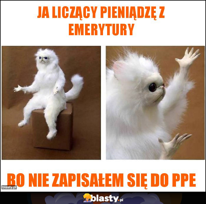 ja liczący pieniądzę z emerytury