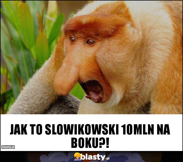 Jak to slowikowski 10mln na boku?!