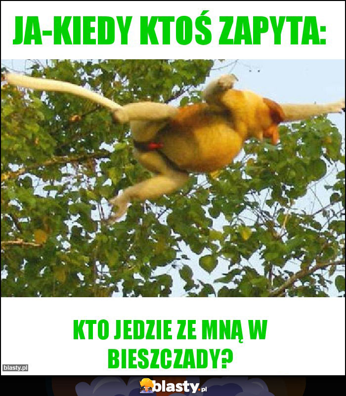 Ja-kiedy ktoś zapyta: