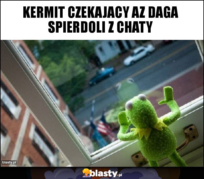 Kermit czekajacy az daga spierdoli z chaty