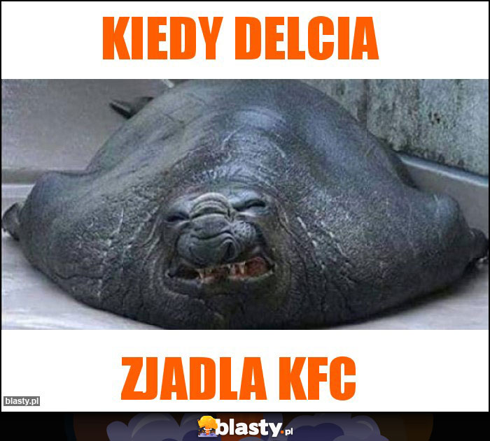 kiedy delcia