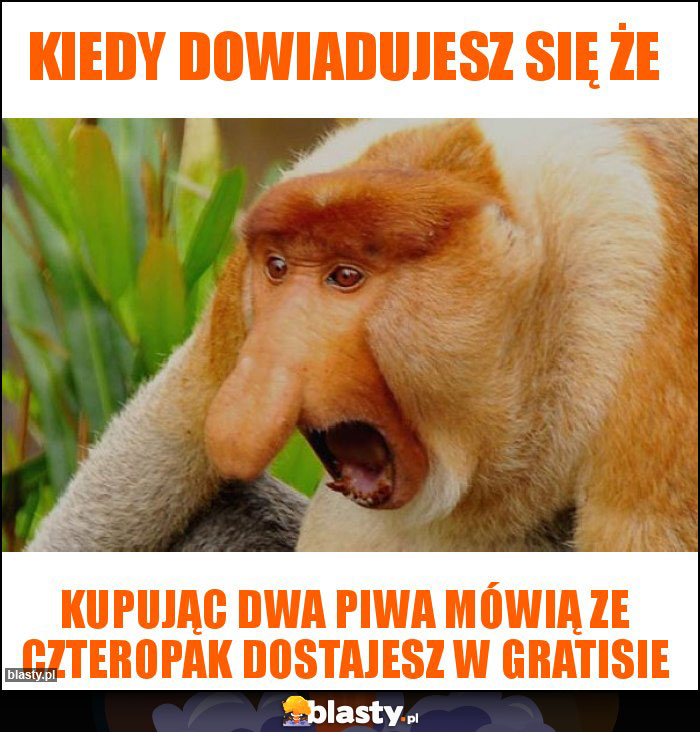 Kiedy dowiadujesz się że