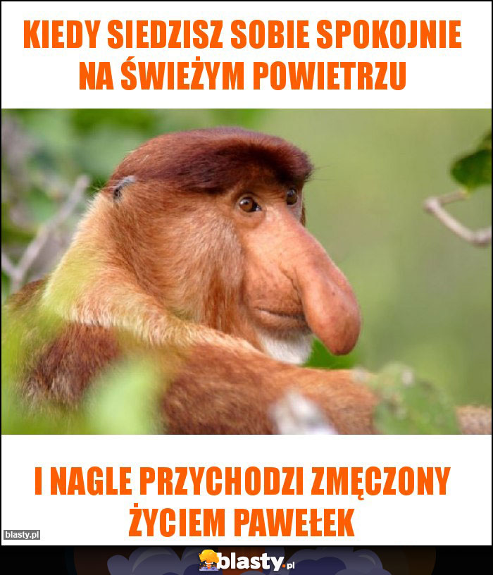 Kiedy siedzisz sobie spokojnie na świeżym powietrzu