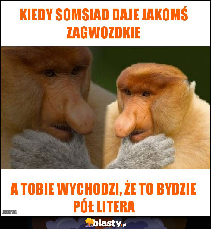 Kiedy Somsiad daje jakomś zagwozdkie