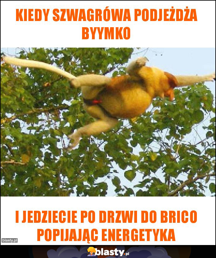 Kiedy szwagrówa podjeżdża byymko