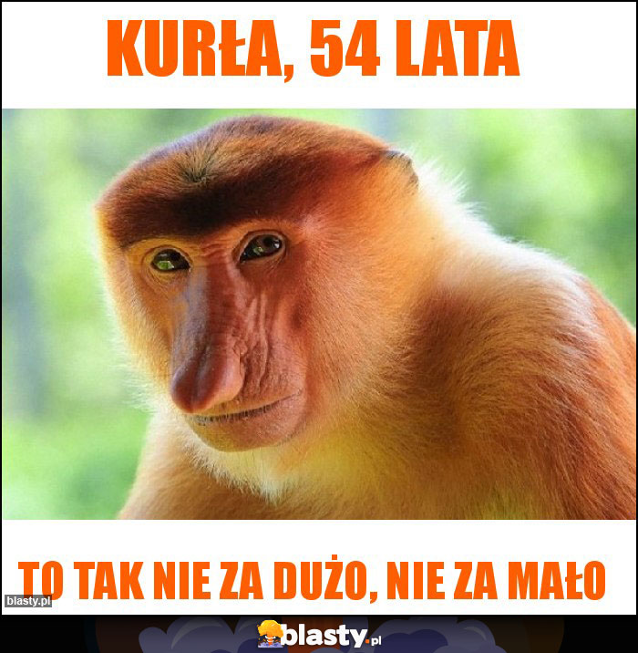 Kurła, 54 lata
