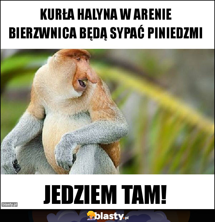 Kurła halyna w arenie bierzwnica będą sypać piniedzmi
