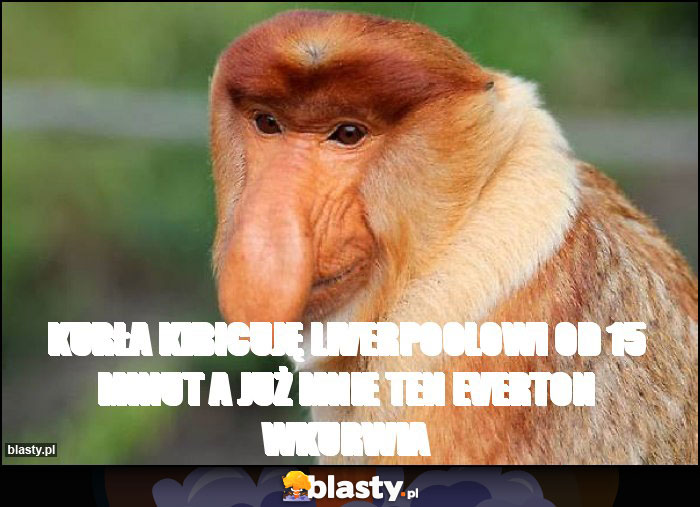 Kurła kibicuję Liverpoolowi od 15 minut a już mnie ten Everton wkurwia
