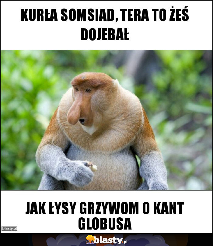 KURŁA SOMSIAD, TERA TO ŻEŚ DOJEBAŁ