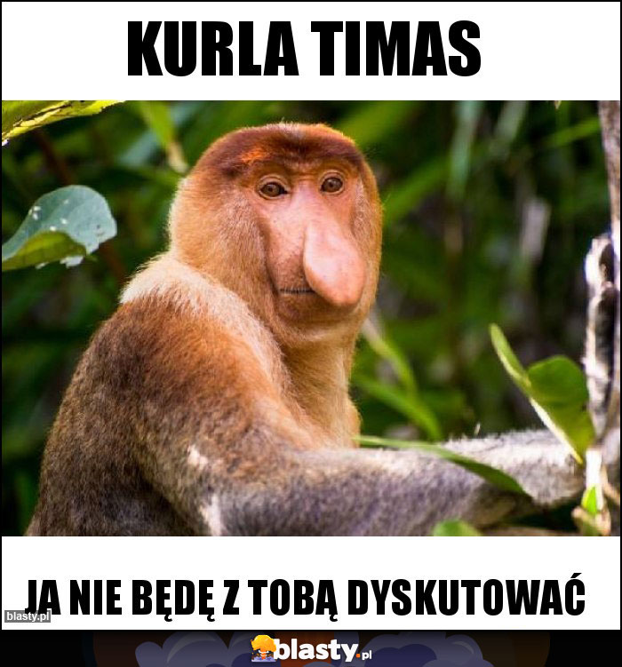 Kurla timas