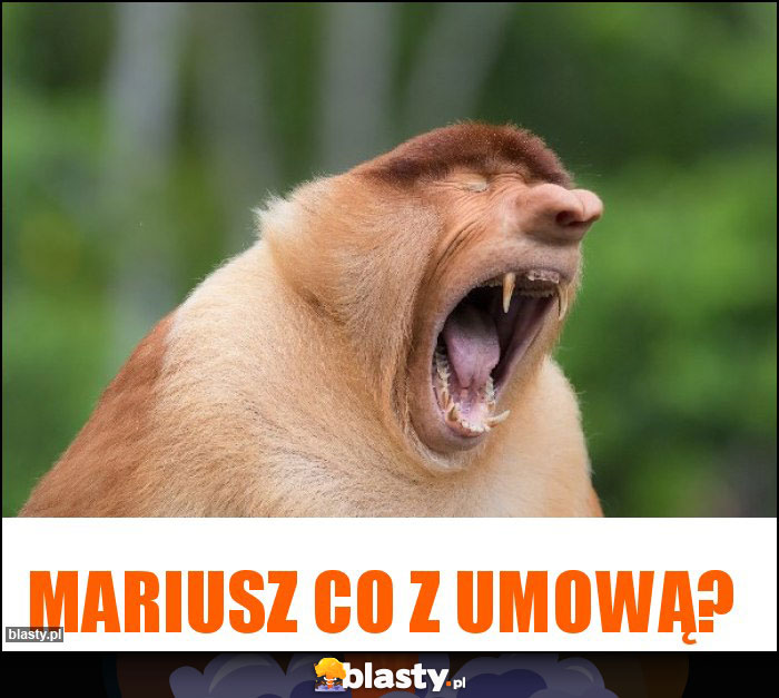 Mariusz co z umową?