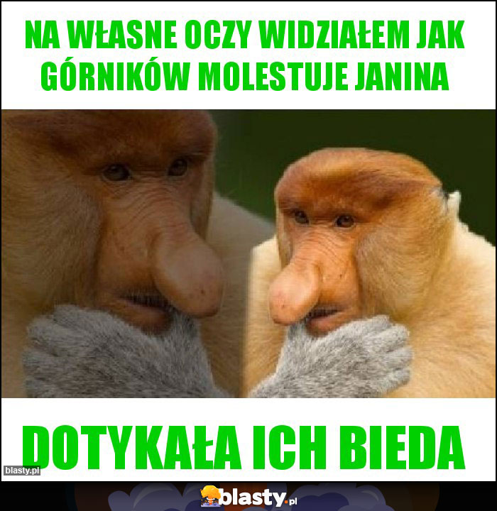 Na własne oczy widziałem jak górników molestuje Janina