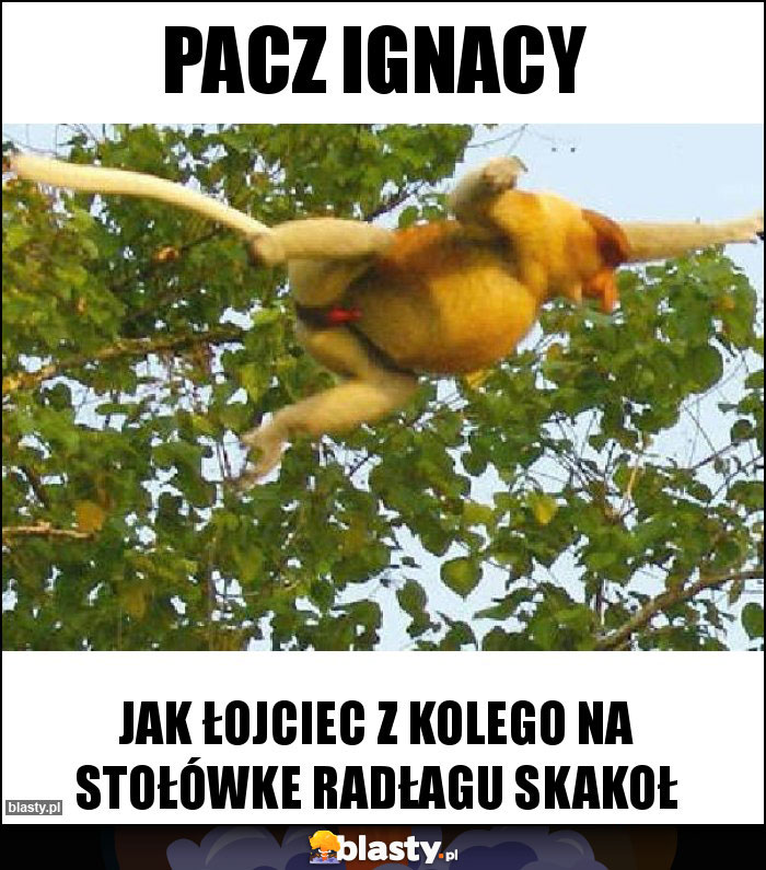 PACZ IGNACY