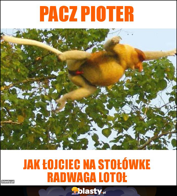 PAcz pioter